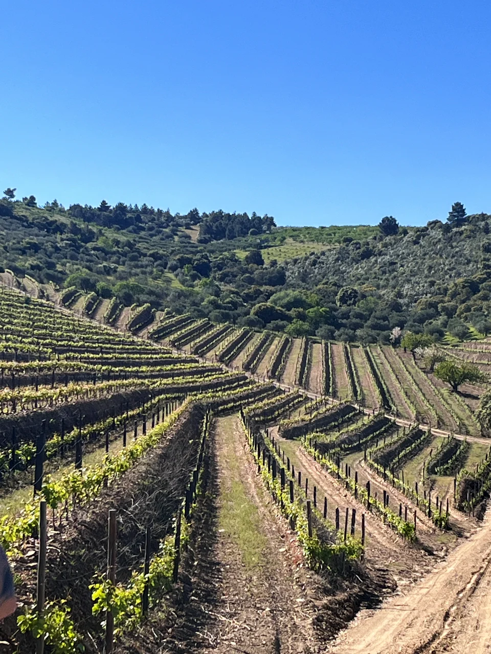 Private wine tours Porto and Douro Valley
